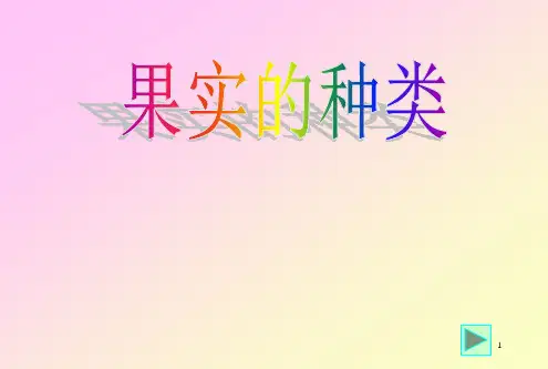 果实的种类PPT课件