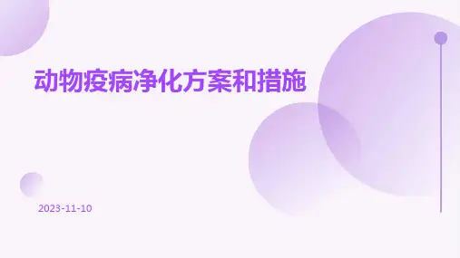 动物疫病净化方案和措施
