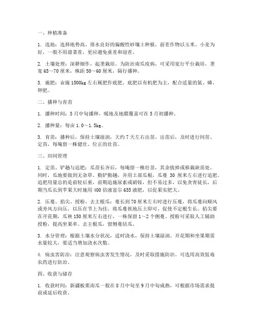 新疆板栗南瓜种植管理技术