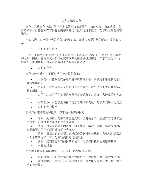 白花知识点大全