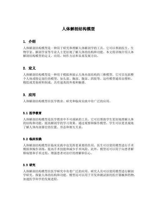 人体解剖结构模型