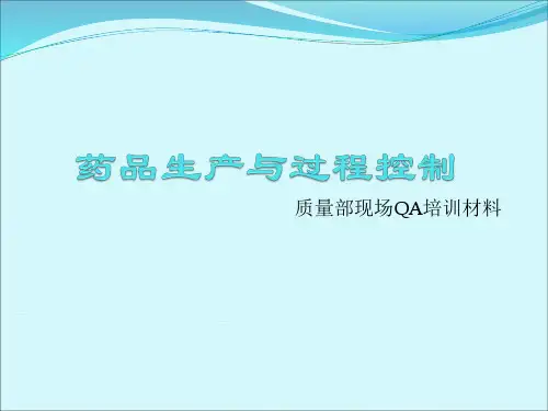 药品生产与过程控制 PPT课件