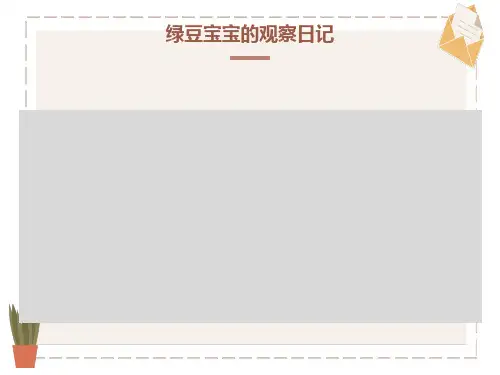 绿豆宝宝的观察日记