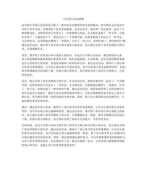 小学爱心活动感想