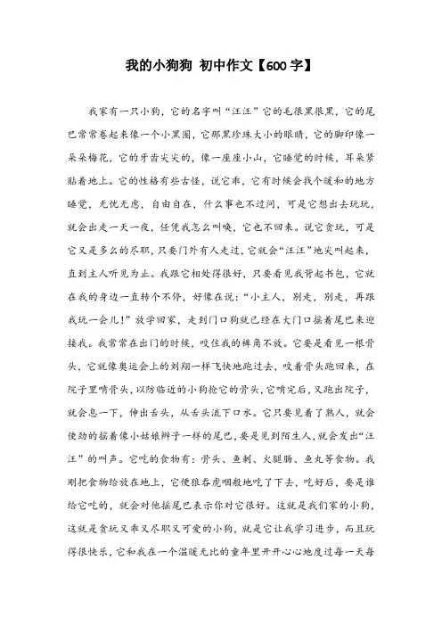 我的小狗狗 初中作文【600字】