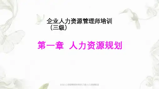 企业人力资源管理师培训(三级)人力资源规划ppt课件