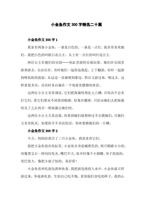 小金鱼作文300字精选二十篇
