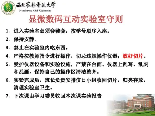 显微数码互动实验室守则共19页