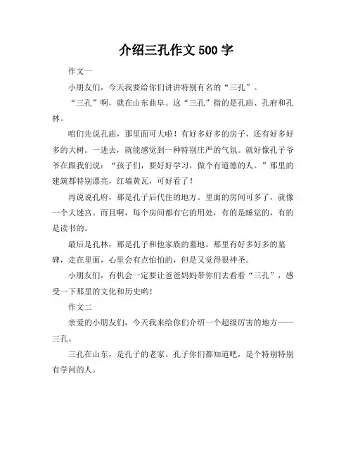 介绍三孔作文500字