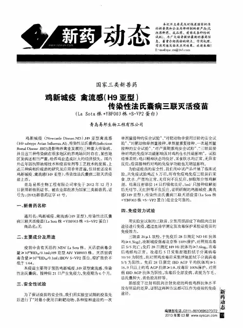 鸡新城疫禽流感(H9亚型)传染性法氏囊病三联灭活疫苗(LaSota株+YBF003株+S-VP2蛋白)
