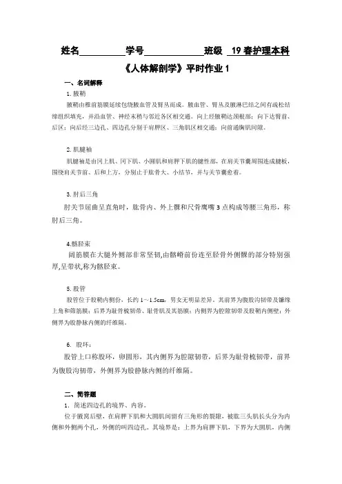 《人体解剖学》平时作业(含答案)