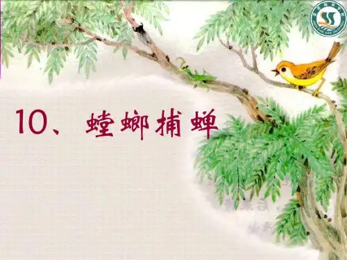 10《螳螂捕蝉》PPT课件