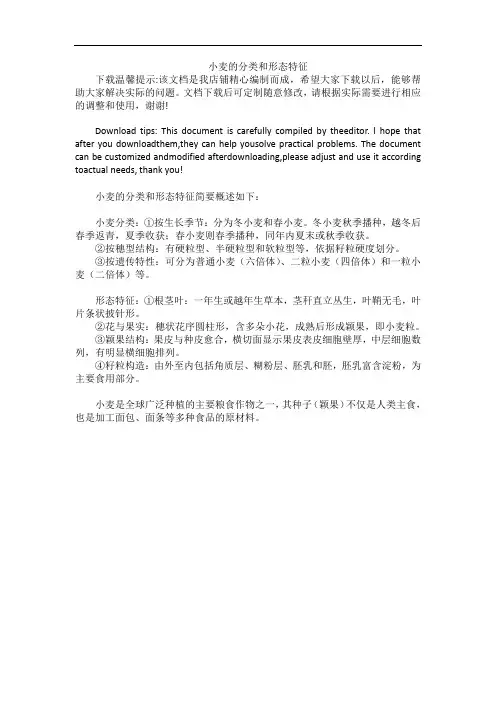 小麦的分类和形态特征