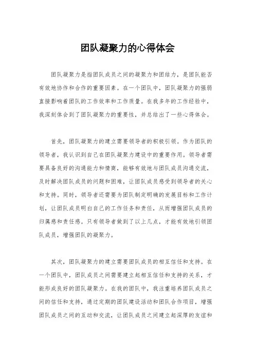 团队凝聚力的心得体会
