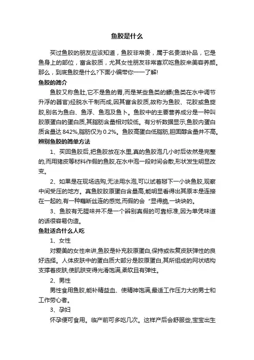 鱼胶是什么