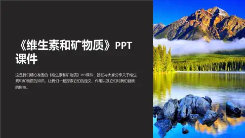 《维生素和矿物质》课件