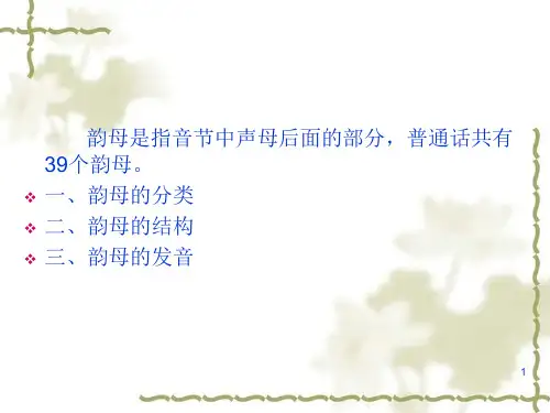 普通话韵母练习ppt课件