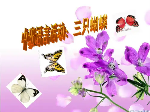 中班语言《三只蝴蝶》ppt课件