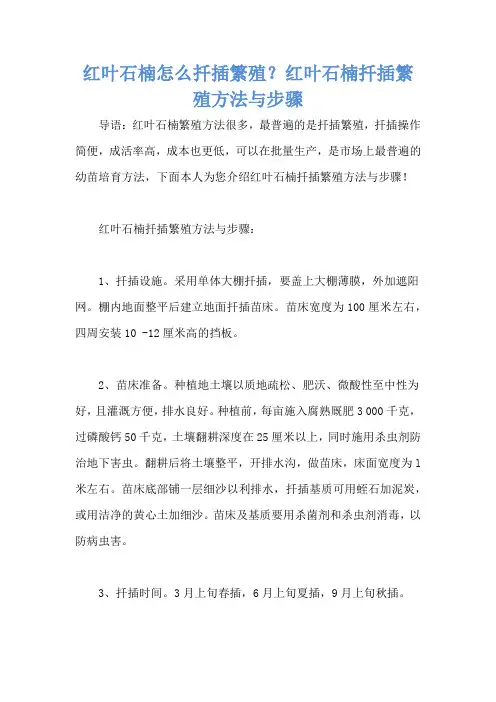 红叶石楠怎么扦插繁殖？红叶石楠扦插繁殖方法与步骤