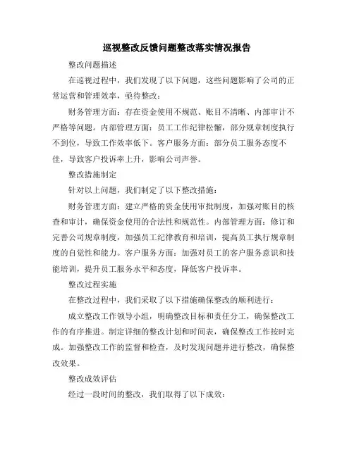 巡视整改反馈问题整改落实情况报告