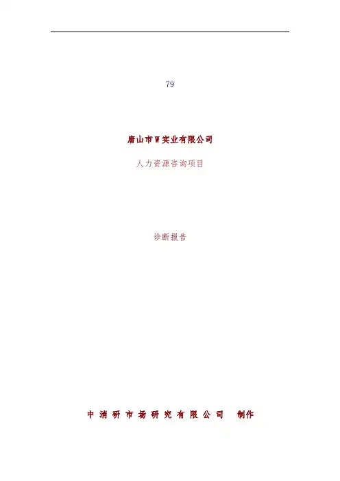 实业公司人力资源咨询项目策划诊断报告