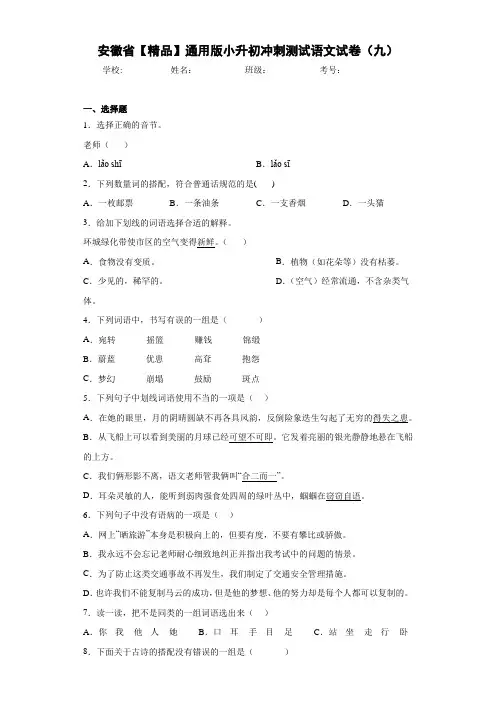 小学安徽省通用版小升初冲刺测试语文试卷(九)(含答案解析)