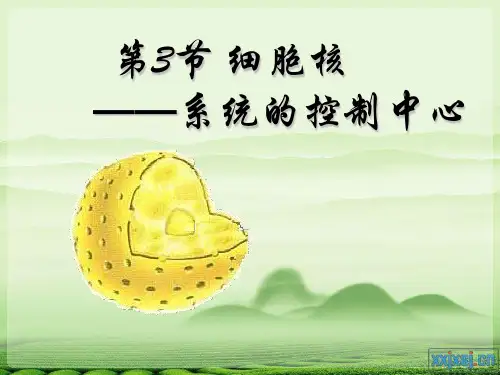 高级中学高中生物必修一课件：第三章第三节细胞核 (共25张PPT)