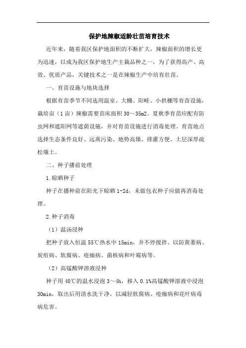 保护地辣椒适龄壮苗培育技术