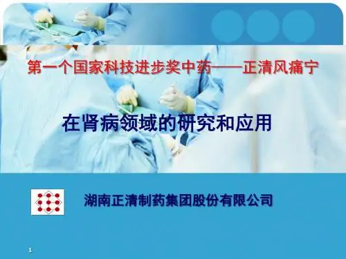 正清风痛宁肾病领域应用