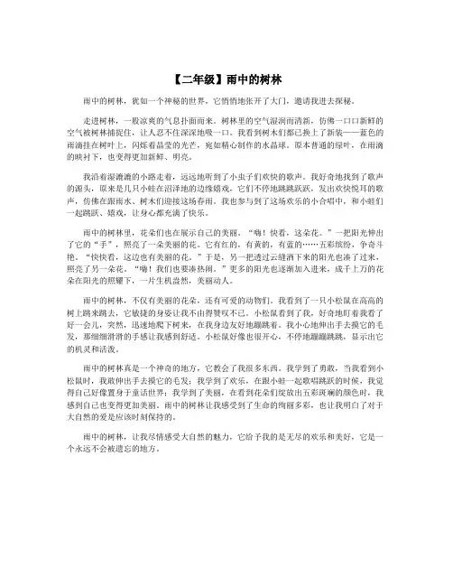 【二年级】雨中的树林