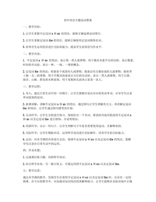 初中语法专题冠词教案