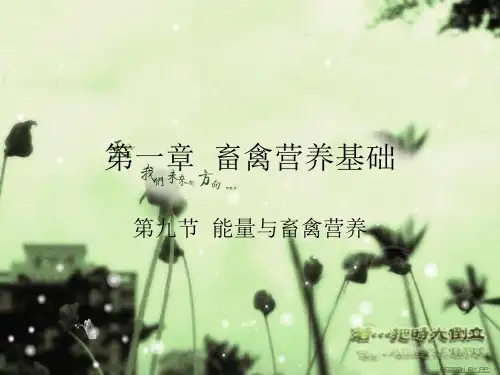 畜禽营养基础