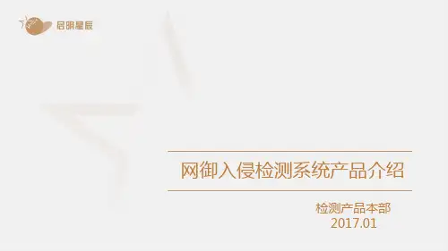网御TD3000系列入侵检测系统产品介绍V5.0_V3.2.74.0