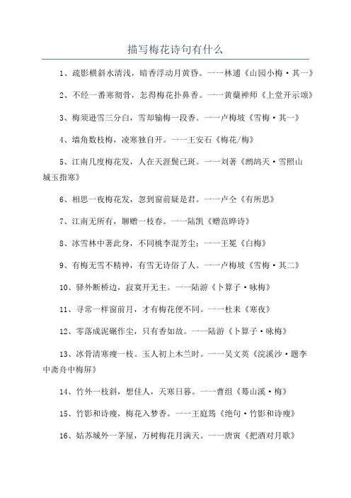 描写梅花诗句有什么
