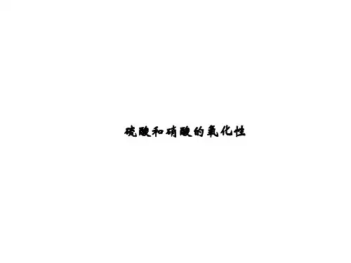 硫酸和硝酸的氧化性 课件