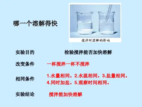 四年级上册科学课件2.5溶解的快与慢教科版共20张PPT