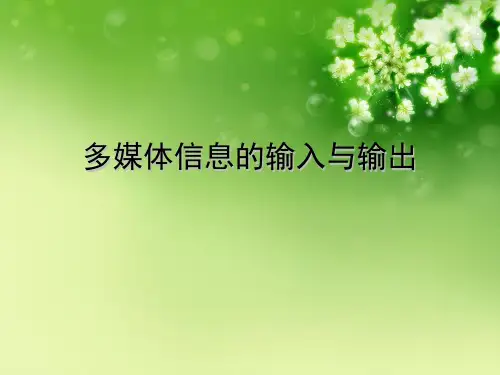 多媒体信息的输入与输出优秀课件