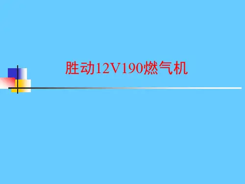 胜动12V190燃气机