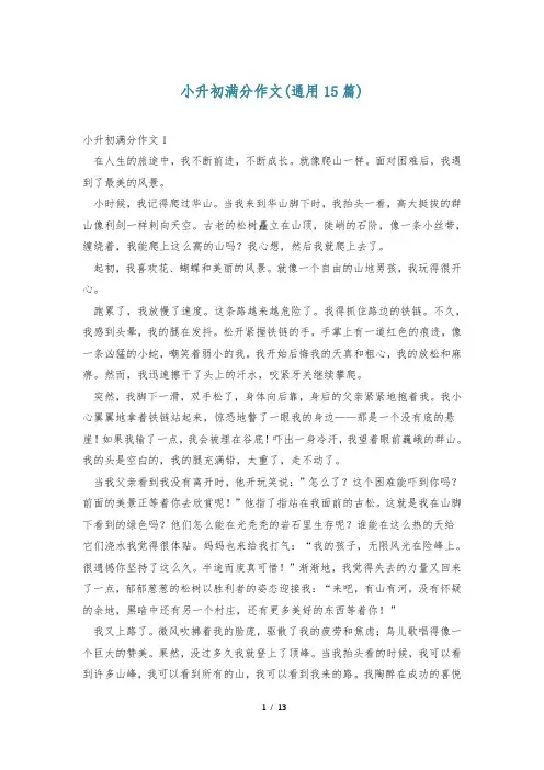 小升初满分作文(通用15篇)