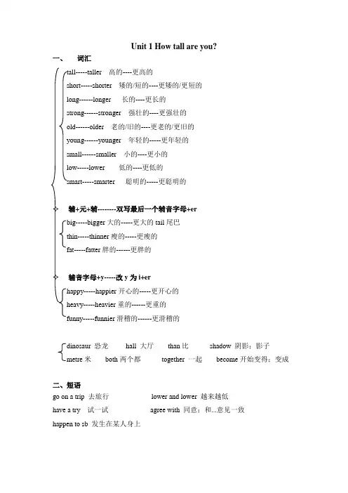 新pep小学英语六年级下册Unit 1 How tall are you形容词的比较级和最高级