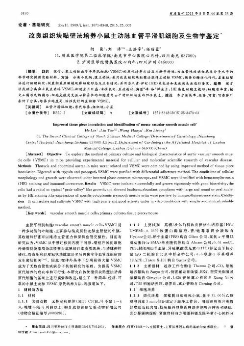 改良组织块贴壁法培养小鼠主动脉血管平滑肌细胞及生物学鉴定