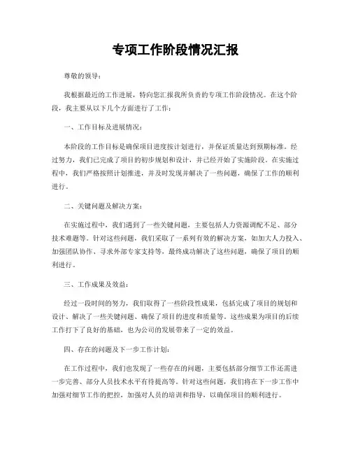 专项工作阶段情况汇报