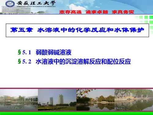 第5章水溶液中的化学反应和水体保护讲述