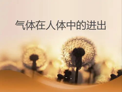 《气体在人体中的进出》人体的奥秘PPT课件