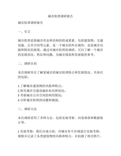 城市肌理调研报告