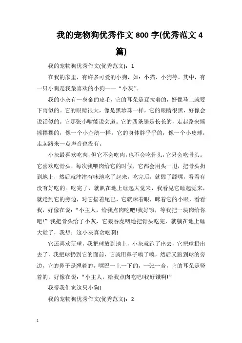 我的宠物狗优秀作文800字(优秀范文4篇)