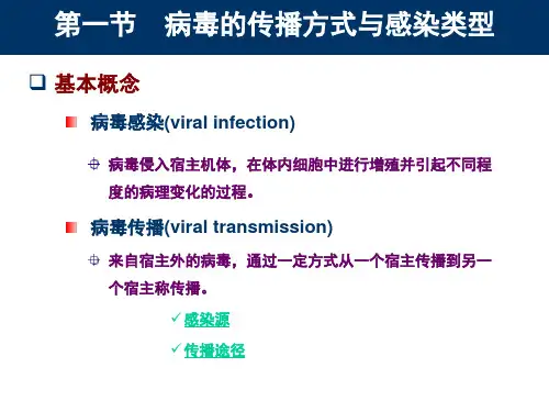 病毒感染与致病机制课件.ppt