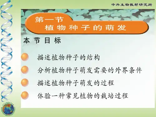 初中生物  植物种子的萌发3 苏教版精品课件