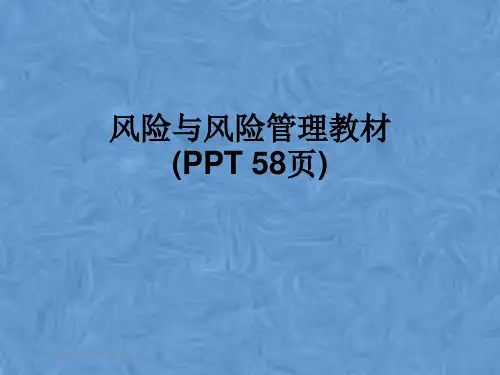 风险与风险管理教材(PPT 58页)
