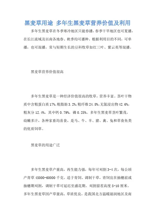 黑麦草用途 多年生黑麦草营养价值及利用